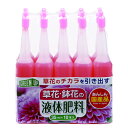 t̔엿 ԁEԗp 35ml~10{