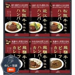 飛騨高山 ファクトリー 松阪牛 近江牛 飛騨牛仕込みハンバーグ ＆ カレー 詰合せ HBK-40 包装 熨斗 のし 無料 【LOI】