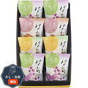 河内駿河屋 パイ小町 PC-10 包装 熨斗 のし 無料 【LOI】