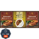 飛騨高山牧場 焼きハンバーグ & こだわりカレーセット BHF-BER 包装 熨斗 のし 無料 【LOI】