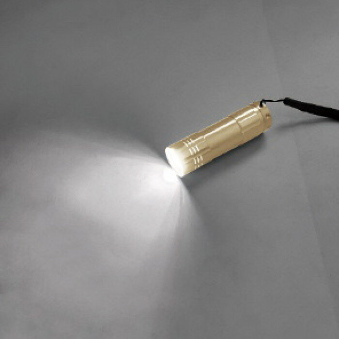 サンウエイ COB パワフル アルミライト AI-514