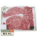 神戸ビーフ サーロインステーキ 9113102 ギフト プレゼント 贈り物 贈答 熨斗 のし 無料 【LOI】