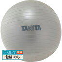 TANITA タニタ タニタサイズ ジムボール TS-962SV ギフト プレゼント 贈り物 贈答 包装 熨斗 のし 無料 【LOI】