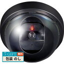 朝日電器 ELPA ダミーカメラ ドーム型 DC-002 ギフト プレゼント 贈り物 贈答 包装 熨斗 のし 無料 【LOI】
