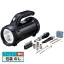 アイトック 工具付懐中ライト 6199 ギフト プレゼント 贈り物 贈答 包装 熨斗 のし 無料 【LOI】