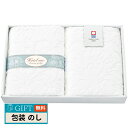 日繊商工 Hotel use premium quality パディII バスタオル×2枚 PD-6020 ギフト プレゼント 贈り物 贈答 包装 熨斗 のし 無料 【LOI】