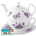 エインズレイ ティーフォーワン ENVI00816C ギフト プレゼント 贈り物 贈答 包装 熨斗 のし 無料 【LOI】