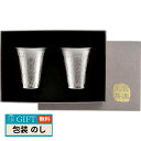 アサヒ 霞 チタン 冷酒カップ 2個セット TW-12 ギフト プレゼント 贈り物 贈答 包装 熨斗 のし 無料 【LOI】
