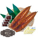 お中元 ギフト 鹿児島県産 うなぎ蒲焼 たれ 山椒付 PFU-019A 御中元 中元 2025 プレゼント 贈り物 おくりもの 喜ばれる おすすめ お取り寄せ 夏 【LOI中元】