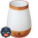 朝日電器 ELPA LED小物が入るライト PM-LP101 包装 熨斗 のし 無料 【LOI】