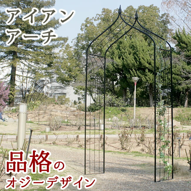 アイアンアーチオジートップ【送料無料 フェンス アイアン ガーデンフェンス ガーデニング 枠 柵 仕切り 目隠し 境目 クラシカル アンティーク トレリス ベランダ つる 薔薇 バラ 朝顔 園芸 ラティス】のサムネイル