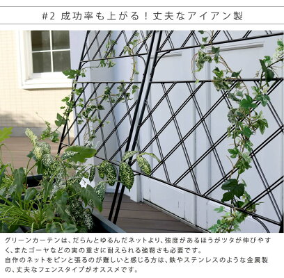 オンライン限定価格 フェンス アイアン グリーンカーテン ゴーヤ 薔薇 バラ 朝顔 庭 フラワースタンド 園芸ラック 屋外 ガーデニング ベランダ ガーデニング 枠 柵 仕切り 目隠し 境目 アンティーク トレリス 園芸 ラティス アイアン製グリーンカーテン アーガイル オンライン限定価格 フェンス アイアン グリーンカーテン ゴーヤ 薔薇 バラ 朝顔 庭 フラワースタンド 園芸ラック 屋外 ガーデニング ベランダ ガーデニング 枠 柵 仕切り 目隠し 境目 アンティーク トレリス 園芸 ラティス アイアン製グリーンカーテン アーガイル
