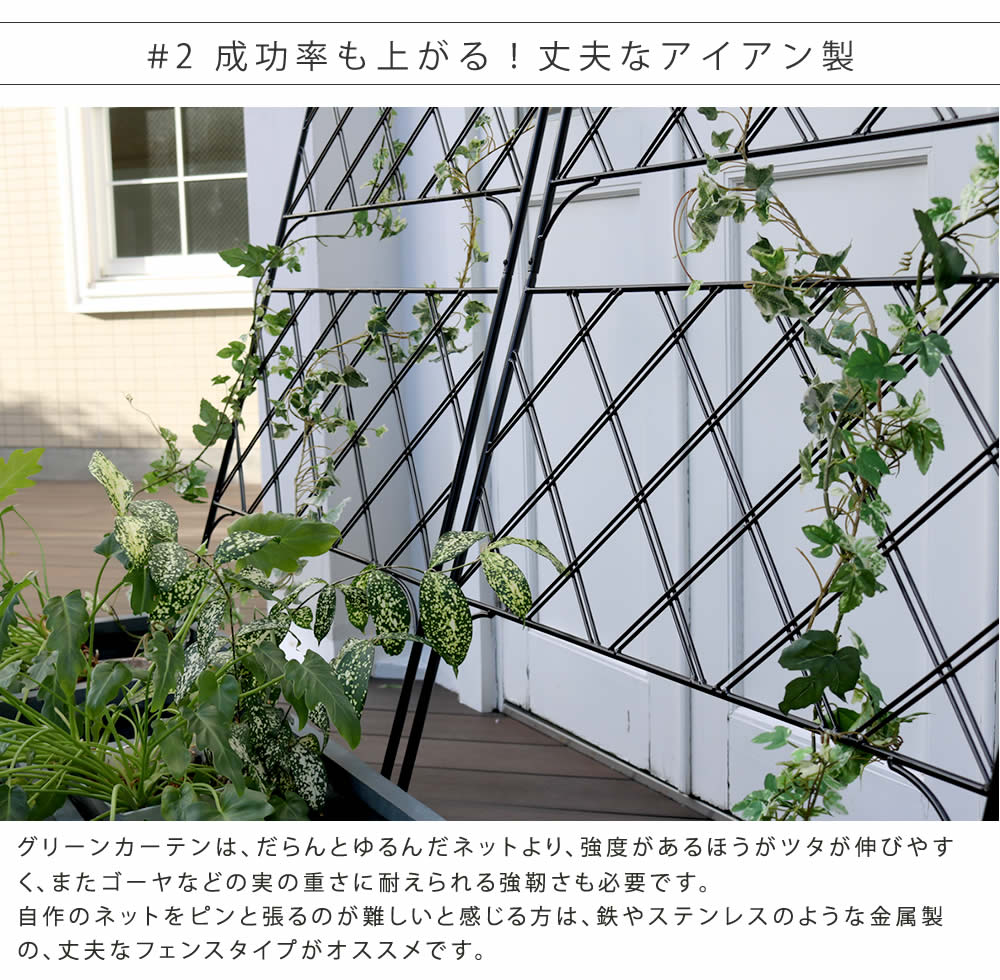 短納期全日本送料無料 フェンス アイアン グリーンカーテン ゴーヤ アンティーク 薔薇 仕切り バラ 朝顔 庭 ベランダ ガーデニング 枠 柵 仕切り 目隠し 境目 アンティーク トレリス 園芸 ラティス アイアン製グリーンカーテン アーガイル 送料無料 フェンス