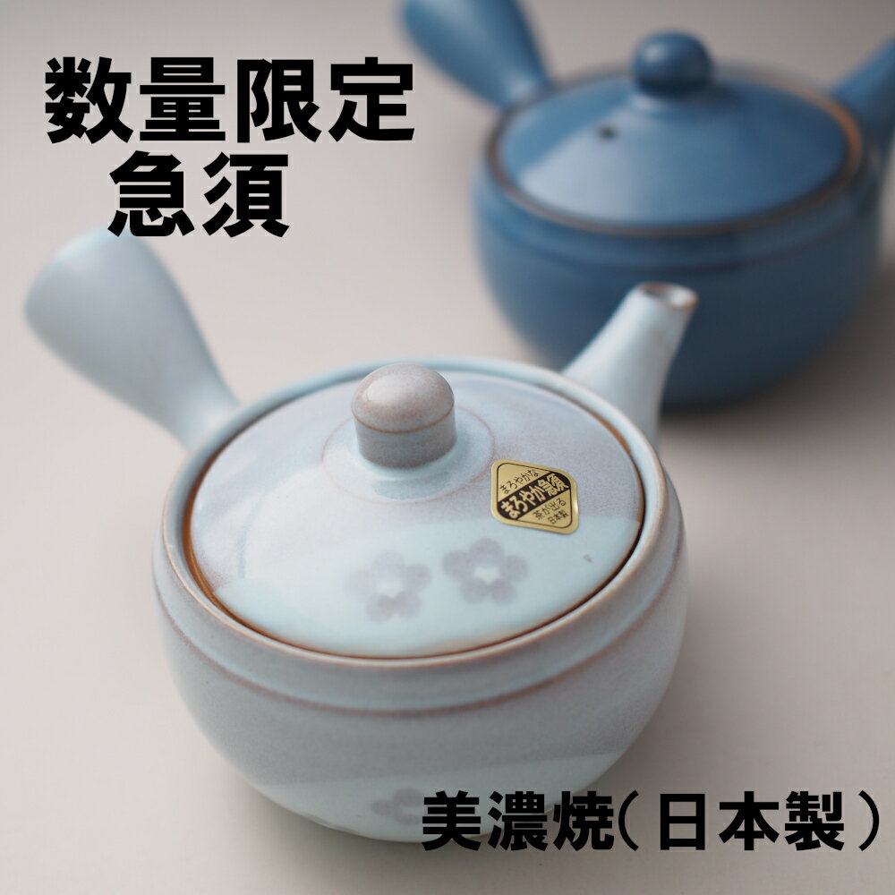 【アウトレット】【在庫限り】急須　美濃焼（日本製）　梅小紋　ブルーなまこ/お得　お買い得　お値打ち品　ポット急須　セール　スーパーセール　super saleのサムネイル