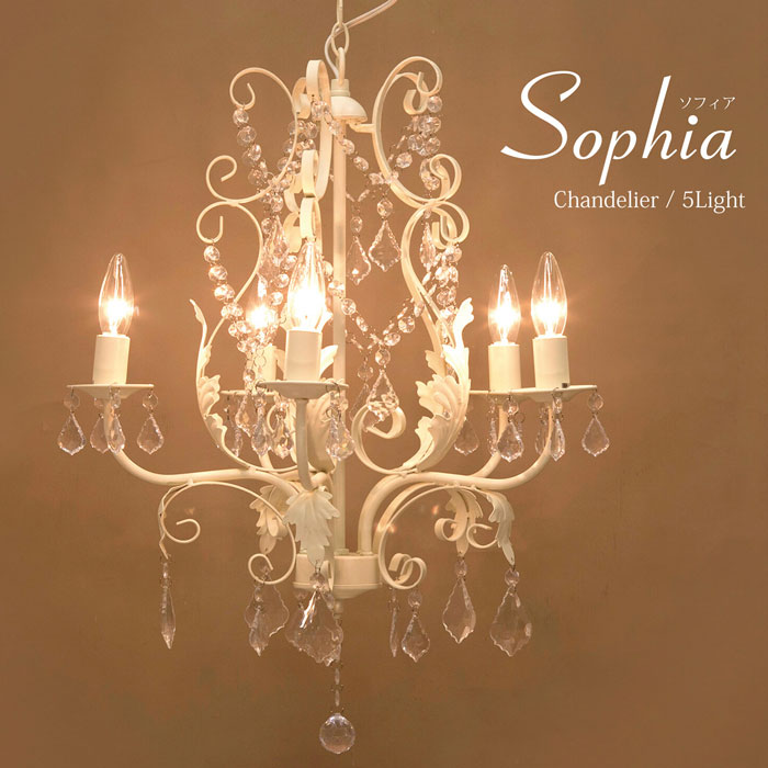 ǥꥢ Sophia ե 5 ꡼ E12/뷿 67D3091177J-CR LEDб