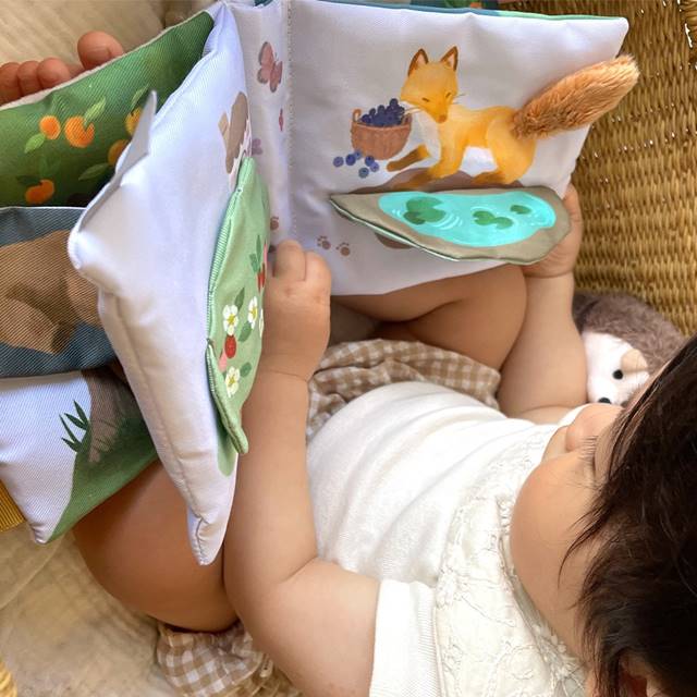 布絵本 0歳 6ヶ月 1歳 赤ちゃん おもちゃ 出産祝い 誕生日プレゼント りすくんのさ...