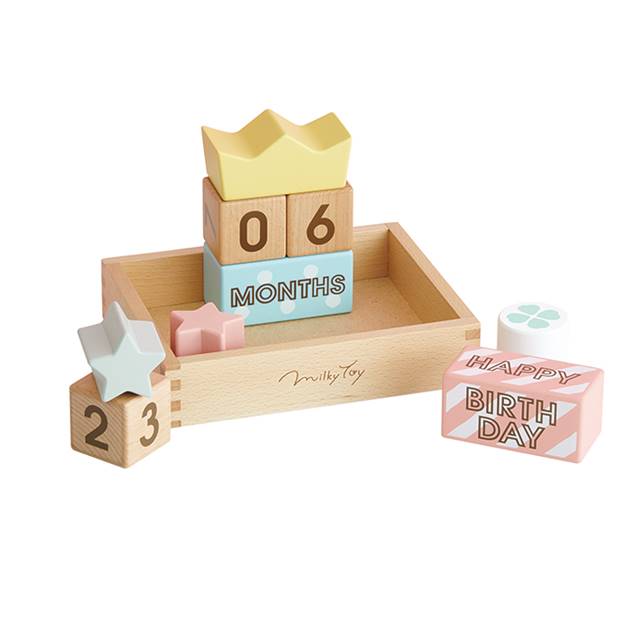 メモリービスケット 積み木 出産祝い プレゼント 赤ちゃん 写真 グッズ アイテム 記念日 インスタ SNS 記念撮影 写真 月齢フォト 寝相アート インスタ 育児記録 マタニティフォト エドインター