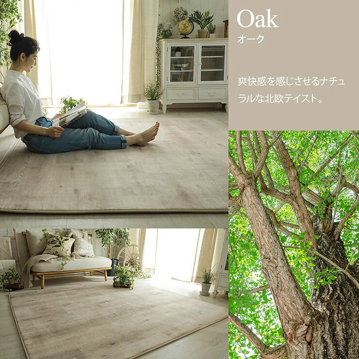 ラグ カーペット 190x240cm ラグマット ラグカーペット 長方形 敷き物 絨毯 低反発 手洗い可 床暖房対応 ホットカーペット対応 すべり止め付き 低ホルムアルデヒド オールシーズン おしゃれ DPホリデー 5色対応 [3]