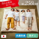 【決算セールP10倍!20時〜25:59】 敷布団 ファミリー 4人用 250x200cm グランドキングサイズ 日本製 洗える敷き布団カバー付き ワイド敷布団...