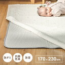 【ポイント最大10倍!15日23:59まで】ラグマット カーペット アンダーラグ 約170x230cm ラグ 敷物 下に敷くだけ 防音 抗菌防臭 両面滑り止め ...