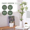 【ポイント最大10倍!15日23:59まで】人工観葉植物 フェイクグリーン ギンモクセイ セラミックポット 卓上 人工植物 観葉植物 おしゃれ フェイク 造花 ...