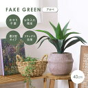 【ポイント最大10倍!15日23:59まで】人工観葉植物 フェイクグリーン アガベ セメントポット 卓上 人工植物 観葉植物 おしゃれ フェイク 造花 グリーン...