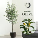 【ポイント10倍!今晩20時開始!】人工観葉植物 フェイクグリーン OLIVE(オリーブ) GRN-17 H152cm 人工植物 観葉植物 おしゃれ フェイク 造花 大型 グリーン オリーブの木 インテリア