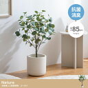 【決算セールP10倍!20時〜25:59】 フェイクグリーン 観葉植物 大型 高さ85cm 光触媒 人工観葉植物 ユーカリ Nature(ナチュレ) フェイク ...