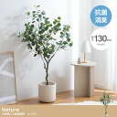 【決算セールP10倍!20時〜25:59】 フェイクグリーン 観葉植物 大型 高さ130cm 光触媒 人工観葉植物 ユーカリ Nature(ナチュレ) フェイク...