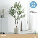 【決算セールP10倍!20時〜25:59】 フェイクグリーン 観葉植物 大型 高さ150cm 光触媒 人工観葉植物 オリーブ Nature(ナチュレ) フェイク...