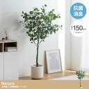 【決算セールP10倍!20時〜25:59】 フェイクグリーン 観葉植物 大型 高さ150cm 光触媒 人工観葉植物 ユーカリ Nature(ナチュレ) フェイク...