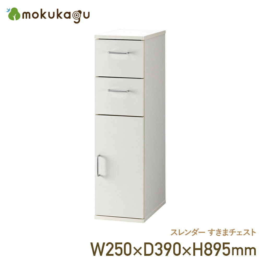 ̵ۥ ޥ W250 D390 H895 ꡼  ɥ꡼ å ӥ Ǽȶ...
