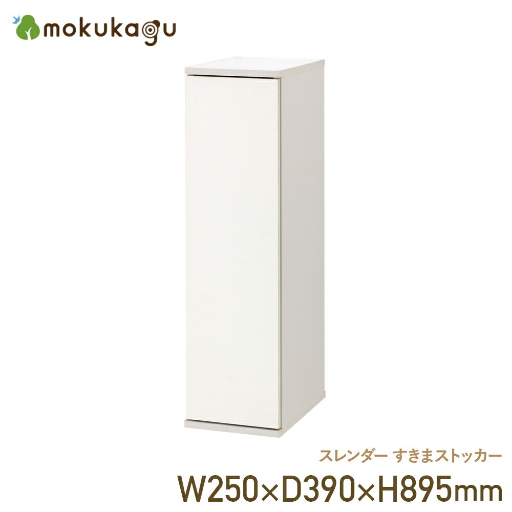 ̵ۥ ޥȥå W250 D390 H895 ꡼ ȥå ɥ꡼ å ӥ Ǽ...