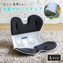 【配送無料】骨盤サポートチェア My Comfy L W430 D325 H315 骨盤サポートチェアシリーズ いす イス 椅子 自宅 オフィス Lサイズ 猫背...