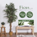【配送無料】人工観葉植物 フィカス W900 D900 H1700 人工観葉植物 フェイクグリーン 造花 雑貨 インテリアグリーン 室内 ショップ フィカス お...