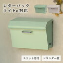 壁掛けポスト ダフネ W392 D190 H277 ポスト 収納家具 壁掛けタイプ ステンレス取手 シリンダー錠 スリット窓 エンボス加工 鏡面仕上げ 盗難防止対策 ゆうパック レターパック 北欧テイスト 幅39.2cm 奥行19cm 高さ27.7cm クリーム/セージグリーン