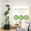 【5/10P増】【配送無料】ねこの休ら木 キャットツリー ソラ W450 D400 H2400-2600 ねこの休ら木シリーズ キャットツリー ペット家具 突っ...