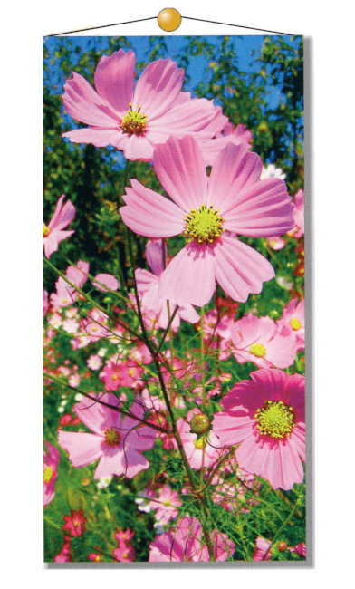 タペストリー（スクリーン） 新コスモス