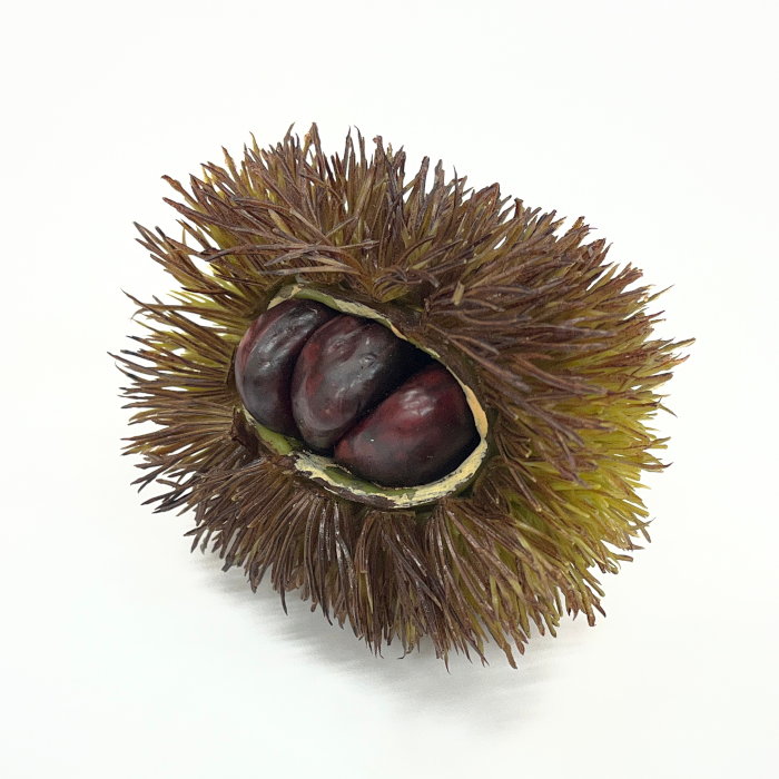造花 イガ栗（毬栗）の実