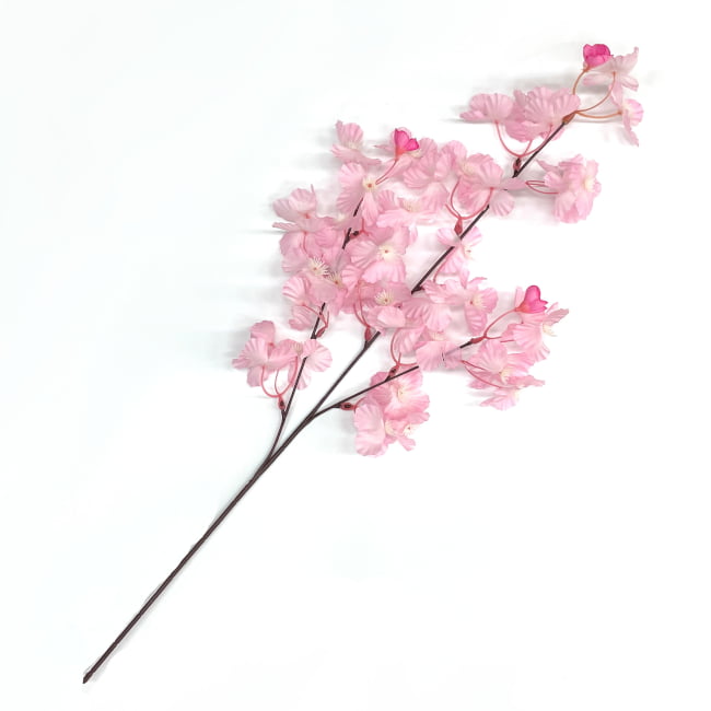 ���� �����u�����` 5�{�Z�b�g