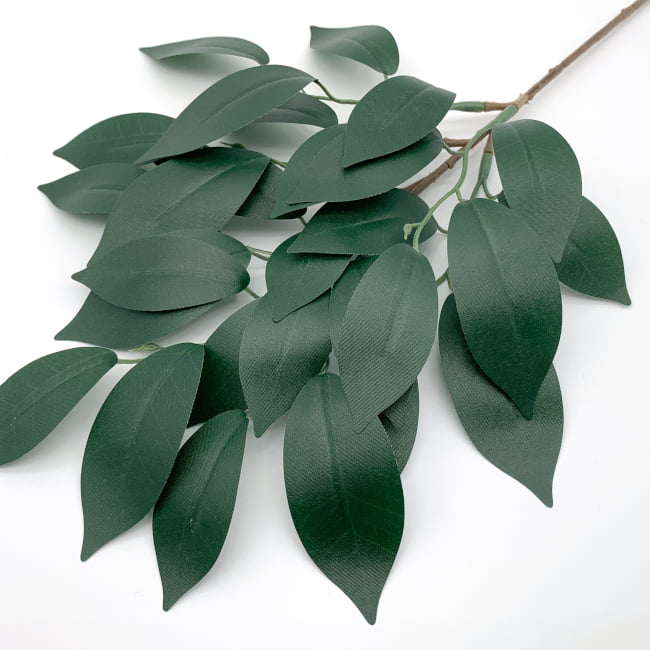 ¤�� �� �� 2�ܥ��åȡڥ᡼�����б���