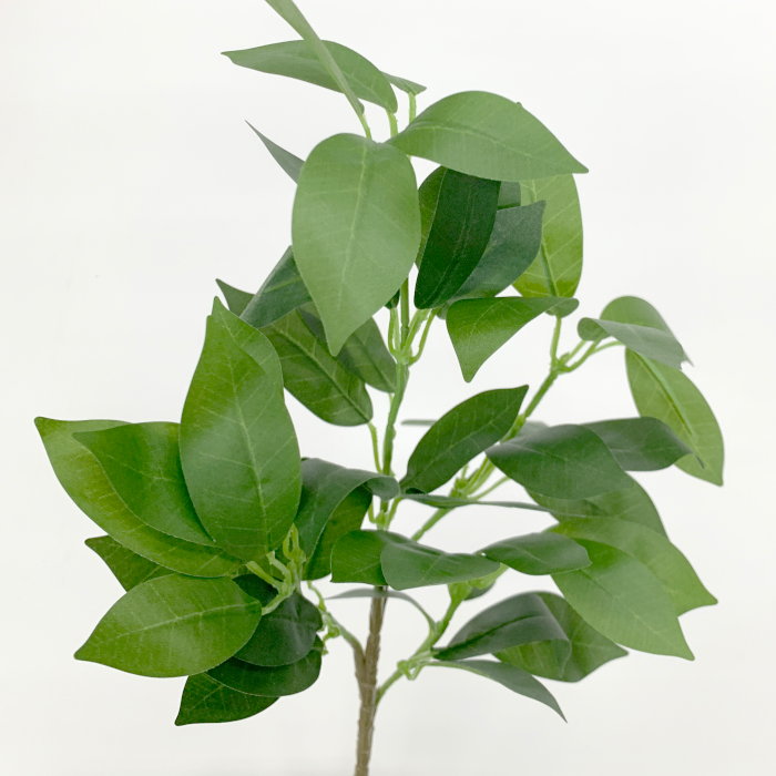 ¤�� ��֡ʤ����ߡ� �� 2�ܥ��å�