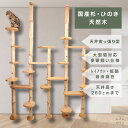 国産 杉 桧 キャットウォーク キャットタワー セット 【送料無料】 木製 TYPE5 ベッド 天井突っ張り 天井高260cm シンプル スリム おしゃれ 空間 無垢材 簡単組立 猫 猫タワー 爪とぎ 丈夫 頑丈 大型猫 賃貸可能 多頭飼い 杉の香り 桧の香り