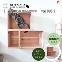 国産杉と桧の木製キャットウォーク キャットボックス2段（小） 3点セット / 簡単取付 拡張可 大工手作り 木製 キャットウォーク 猫 多頭飼い 運動不足 ストレス解消 木で頑丈 国産 杉板 壁取付 ハウス ベッド キャットタワー 無垢材