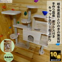 【 ねこハウスシリーズ 】 自由にキャットウォークやキャットタワーが作れる 豊富なオプション 部屋中に猫の遊び場を自由自在に作る事ができる 賃貸 天井突っ張り型も販売中