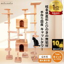 【 P10倍 anan 25ans 2誌掲載 22日から27日 5%offクーポン 】 建築家 大工 考案 画期的! ねこハウスシリーズ キャットキングダム キャットタワー 据え置き 猫 遊び場 自由自在 カスタマイズ 増設 国産 天然木製 木製