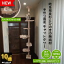 【 P10倍 anan 25ans 2誌掲載 22日から27日 8%offクーポン 】 建築家 考案 画期的! ねこハウスシリーズ キャットタワー 突っ張り Type1 猫 遊び場 自由自在 カスタマイズ 増設 天然木製 スリム 木製