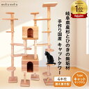 【 雑誌 anan 25ans 2誌掲載記念セール P10倍 最大 10%off クーポン 】 建築家 大工 考案 画期的! ねこハウスシリーズ キャットキング...