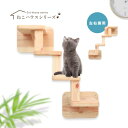【 P5倍 252円offクーポン 】 国産杉 木製 壁付け キャットウォーク ラダーBセット ステップ2基とステップ 簡単取付 拡張可 木製 キャットウォー...