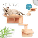 【 P5倍 252円offクーポン 】 国産杉 木製 壁付け キャットウォーク ラダーCセット ステップ ベッド 3段 簡単取付 拡張可 ストレス解消 丈夫 ...